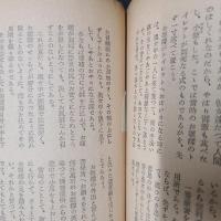 風俗科学　創刊号