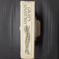 GRAY'S ANATOMY　The Classic Collector's Edition