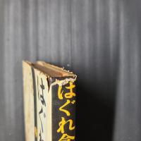 はぐれ念佛
