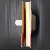 臨済録をめぐる断章