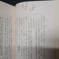 漢文学史概論