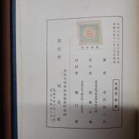 漢文学史概論