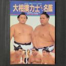 大相撲力士カラー名鑑 1995　詳細プロフィール付き　付・全相撲部屋詳解、行司・呼出し名鑑 幕内全力士個人別対戦成績