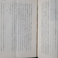相撲のおもしろさ　文化新書