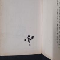 数珠をかけた名力士　若ノ花物語