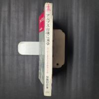 アルプス山嶺に消ゆ カッパブックス