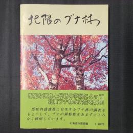 北限のブナ林