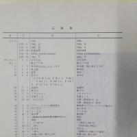 北限のブナ林