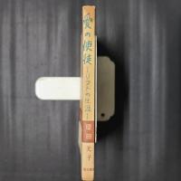 愛の使徒　リストの生涯  　（下巻）