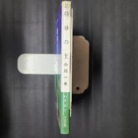 時砂の王　ハヤカワ文庫SF