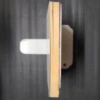 異形の渡来神　エスパー・コネクション3　ソノラマ文庫