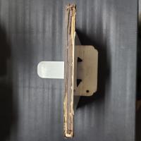 将門山瀧夜叉姫物語