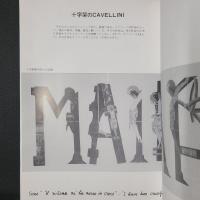 Cavellini　1914-2014　Venezia Palazzo Ducale　：　7 Settembre - 27 Ottobre