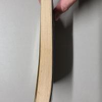 のろわれた金髪鬼　　サンデーコミックス・プロレスコミックス
