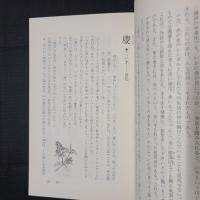 色彩いろいろ事典　漢字で綴る色のイメージ