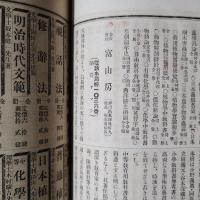 東京名物志