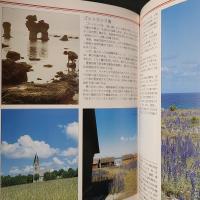 新版　スウェーデン　白夜の国