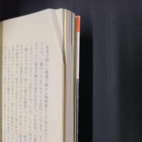 南海の歌と民俗　沖縄民謡へのいざない　　おきなわ文庫20