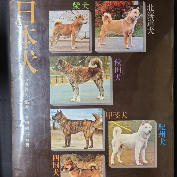 日本犬(長倉義夫編著、廣田尚敬写真)　古本、中古本、古書籍の通販は「日本の古本屋」　日本の古本屋
