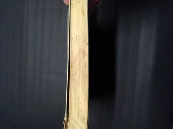 どんテン大将 サンデーコミックス(つのだじろう) / 古本、中古本、古