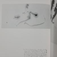 現代の書　少ない字数の世界