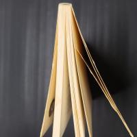 ドン・キホーテの食卓　新潮選書