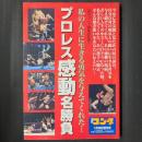 プロレス感動名勝負