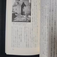 モスクが語るイスラム史　建築と政治権力　中公新書