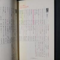 モスクが語るイスラム史　建築と政治権力　中公新書