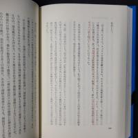 ラバウル戦線異状なし　我等かく生きかく戦えり