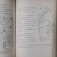 聖書の植物　別表(聖書植物一覧表)つき
