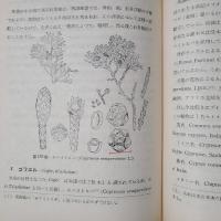 聖書の植物　別表(聖書植物一覧表)つき