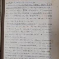 聖書の植物　別表(聖書植物一覧表)つき