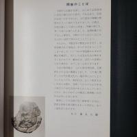 特別展　茨城の古瓦