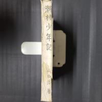 潮村少年記