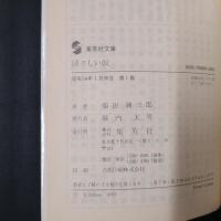 図々しい奴　集英社文庫