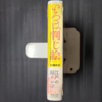 いろは判じ絵　江戸のエスプリ・なぞなぞ絵解き　ビジュアル文庫