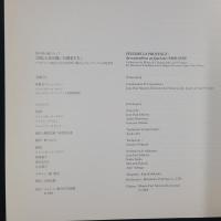 南仏の光を描いた画家たち　プロヴァンス地方における自然主義からフォーヴィズムの再発見