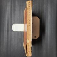 アフリカ分割史　岩波新書