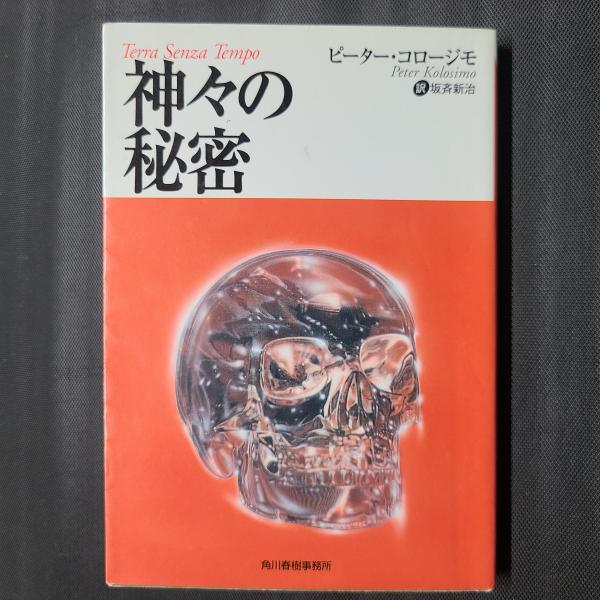 消え残る虹 戦犯大隊長記 三上悦子著 消え残る虹 戦犯大隊長記(三上悦子) / 茶々文庫 / 古本、中古本