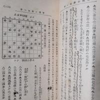 誰にもわかる 将棋必勝此一手（附 名人手合図解）