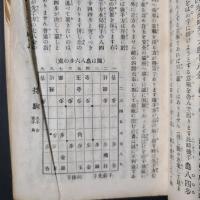 将棋 はめ手千態