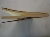 私たちの日本改革論