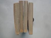 飛天暴走伝承マオー(全4冊揃)