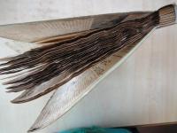 スクラップブック「東京朝日新聞」「東京日日新聞」「読売新聞」等：コラム「一日一題」「日々だより・蘇峰」が中心。「岡田内閣成る」「乃木将軍自刃の検案書発表」他：昭和８・９年頃