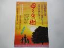 母さんの樹＜映画チラシ＞キャスト：吉野由樹子　山本圭　遠藤隆之　笈川豊英　加賀亜希子　高橋長英　浅利香津代　岡本和也　神保共子　大津美智子　長門裕之　河内桃子　木村夏江