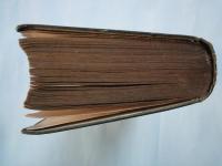 痴遊随筆　それからそれ