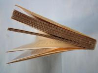 昭和史 [新版]＜岩波新書＞