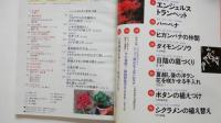 NHK趣味の園芸：エンジェルトランペット（1999年9月）日陰の庭づくり、花の写真術、他