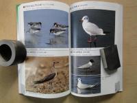 鳥（カラー・ハンドブック：地球博物館№３）図鑑